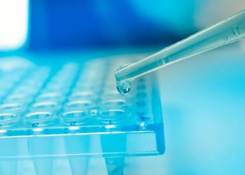 California Voters to Decide Future of Stem Cell Funding Agency