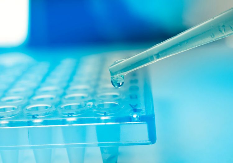 California Voters to Decide Future of Stem Cell Funding Agency