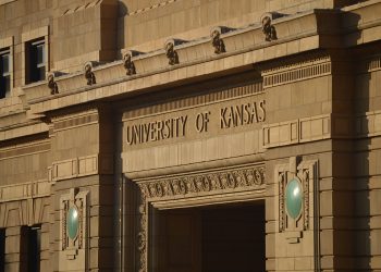 2020 Staff Fellows investigate resources, stigma associated with mental health