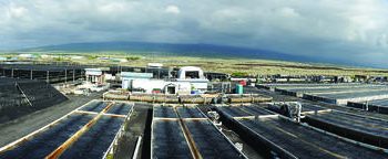 Expansion at NELHA: Big Island Abalone, Blue Ocean Mariculture announce plans for growth