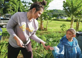 Kailua farm receives funding to continue work to heal people, land
