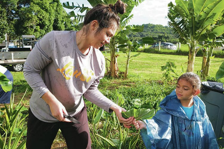 Kailua farm receives funding to continue work to heal people, land