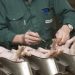 Pain management for piglet castration – what’s the problem?