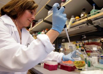 California’s Stem Cell Agency Will Get A Funding Boost From Prop 14. Here’s A Look At Its History.