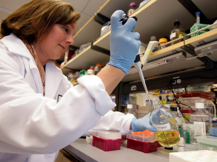 California’s Stem Cell Agency Will Get A Funding Boost From Prop 14. Here’s A Look At Its History.