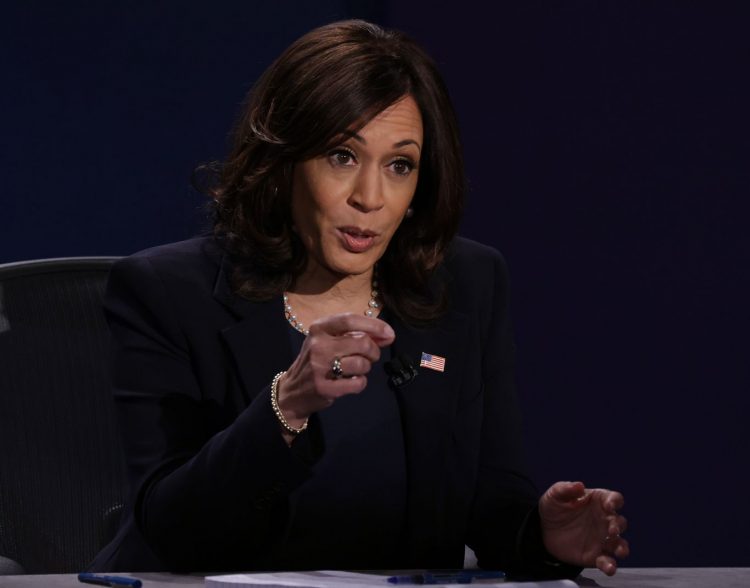 Focus group: Michigan swing voters think Harris will act as president