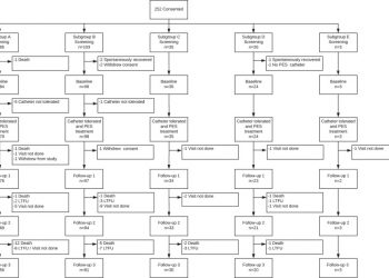 Pharyngeal electrical stimulation for neurogenic dysphagia following stroke, traumatic brain injury or other causes: Main results from the PHADER cohort study