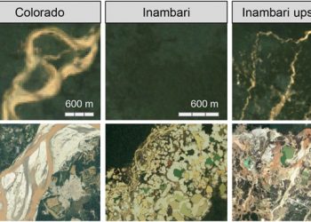 Artificial lake expansion amplifies mercury pollution from gold mining