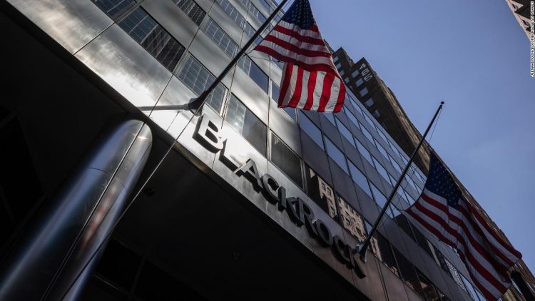 BlackRock and the $15 trillion fund industry should be broken up, antimonopoly group says