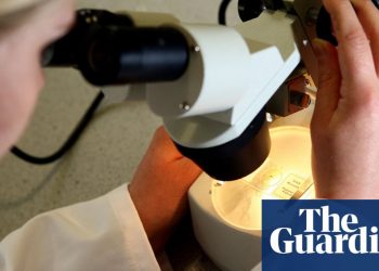 PhD students fear they won’t finish in time as UKRI curbs extensions | Coronavirus