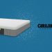 Best Cariloha mattress: Brand and product reviews