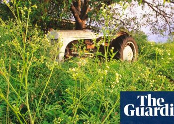 War of the weedkiller: why environmentalists are concerned about moves to ban Roundup | Environment