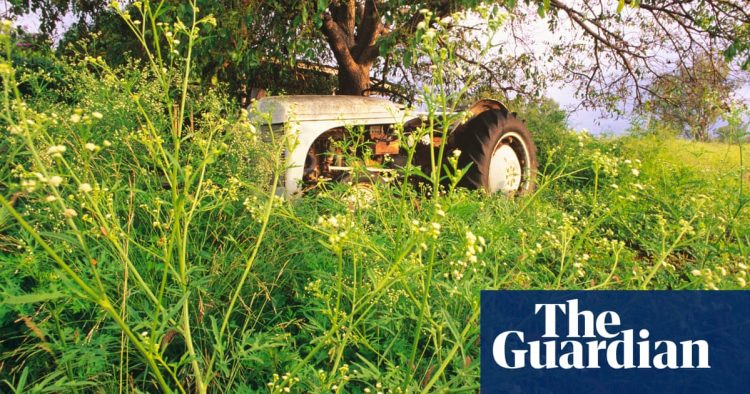 War of the weedkiller: why environmentalists are concerned about moves to ban Roundup | Environment