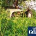 War of the weedkiller: why environmentalists are concerned about moves to ban Roundup | Environment