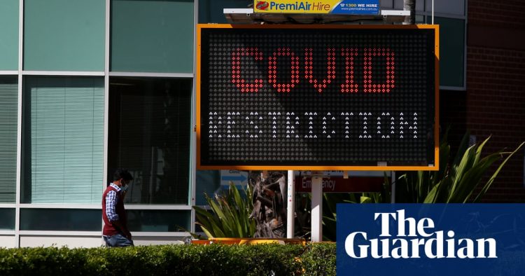 Australian charities reveal ‘huge financial blow’ from Covid-19 | Business