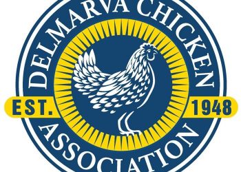 Delmarva Chicken Association brand revealed | State