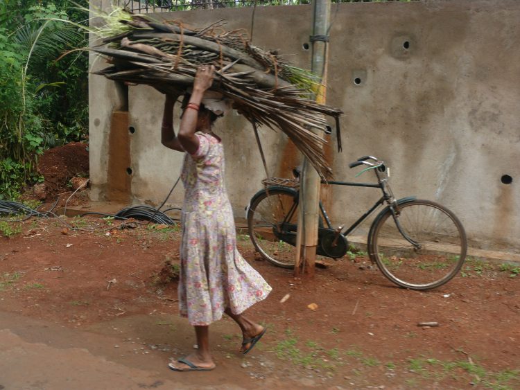 Mistaken beliefs are altering India’s transition to clean cooking fuels