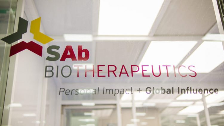 Sioux Falls company SAB gets new dose of funding for COVID-19 therapeutic
