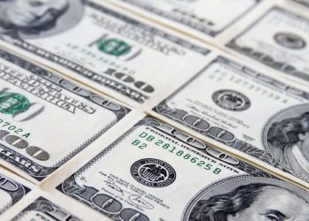 States should reject ‘across-the-board’ higher ed funding cuts: report