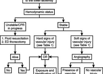 Global Vascular Trauma Management Market Status Analysis, Scope, Trend, Capacity and Forecast 2020-2025 – The Daily Philadelphian
