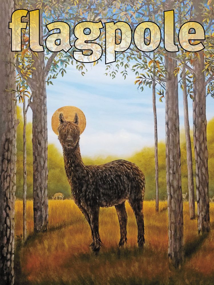 Shelter Projects: The Willson Center Funds Creative Reflections on the Pandemic