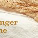 Study looks at data from first documented E. coli flour outbreak in Canada
