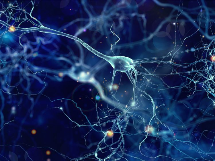 The True Perception That Moves People