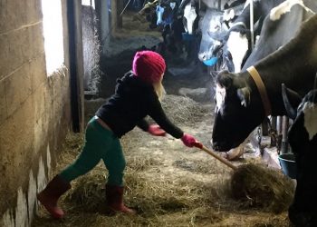 Child Farm Safety Group Secures Funding for Another 6 Years