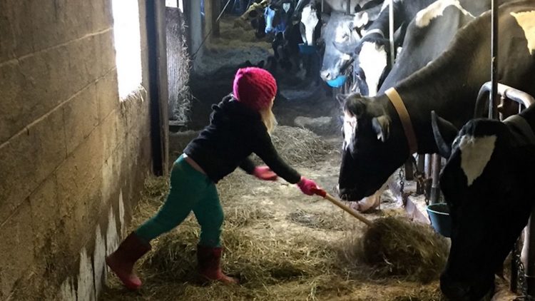 Child Farm Safety Group Secures Funding for Another 6 Years