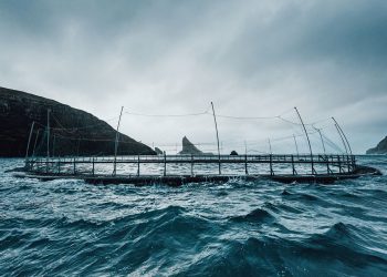 Atlantic Salmon Farmer, Hiddenfjord, Becomes the Industry’s First to Stop Using Air Freight