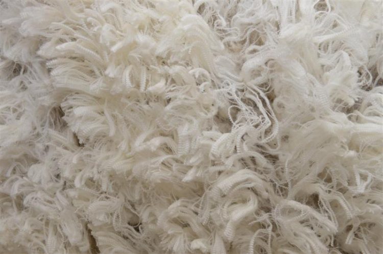 ‘Tremendous support’ for newly established Strong Wool Action Group