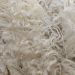 ‘Tremendous support’ for newly established Strong Wool Action Group