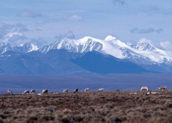 Dunleavy wants state to cut ties with banks that won’t fund Arctic oil projects