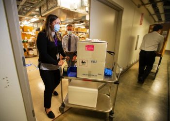 Teachers, grocery workers, prison guards and oldest Americans may be next in line for COVID vaccine