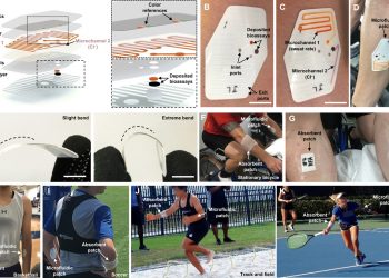 Skin-interfaced microfluidic system with personalized sweating rate and sweat chloride analytics for sports science applications
