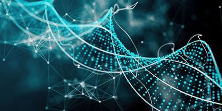 Gene Therapy Shows No Long-Term Harm in Animals: Study – Consumer Health News