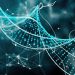 Gene Therapy Shows No Long-Term Harm in Animals: Study – Consumer Health News