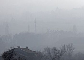 Air Pollution Takes a Toll on Your Kidneys – Consumer Health News