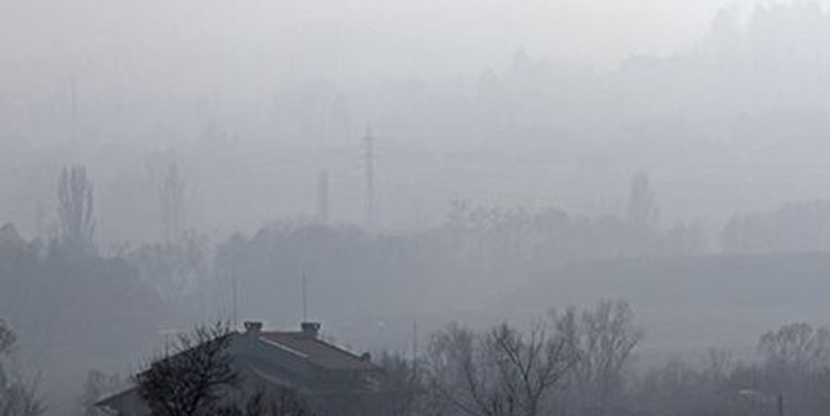 Air Pollution Takes a Toll on Your Kidneys – Consumer Health News