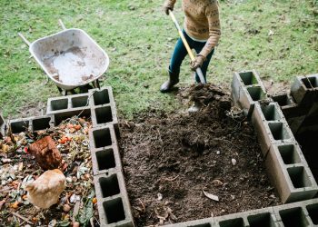 Can Organic Farming Solve the Climate Crisis?