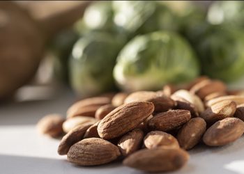 Why We’re So Bad at Counting Calories | Pittwire