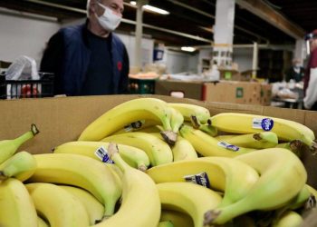 Survey launches to uncover food security needs in and around Sooke – Saanich News