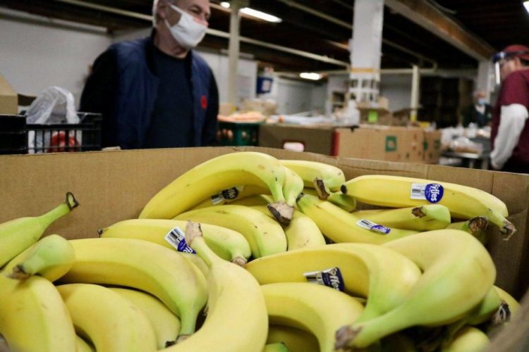 Survey launches to uncover food security needs in and around Sooke – Saanich News