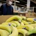 Survey launches to uncover food security needs in and around Sooke – Saanich News