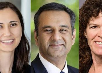 Gene biomarkers indicate liver toxicity quickly and accurately