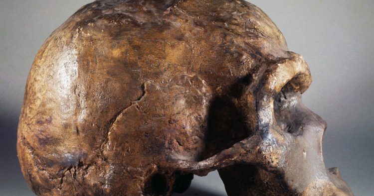 Ancient DNA study reveals a mysterious “super archaic” ancestor
