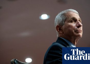 ‘Brand-new disease, no treatment, no cure’: how Anthony Fauci’s fight against Aids prepared him to tackle Covid-19 | US news