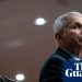 ‘Brand-new disease, no treatment, no cure’: how Anthony Fauci’s fight against Aids prepared him to tackle Covid-19 | US news