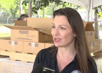 AG Commissioner Nikki Fried releases holiday consumer podcast