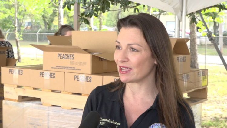 AG Commissioner Nikki Fried releases holiday consumer podcast